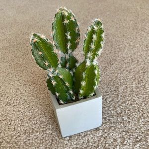 5” Faux Cactus